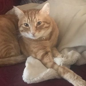 Meet your Posher, Jo